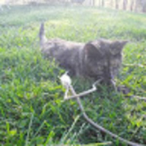 Meet your Posher, Kady